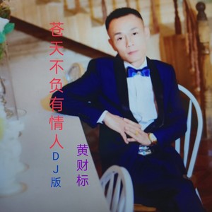苍天不负有情人 (DJ何鹏版)
