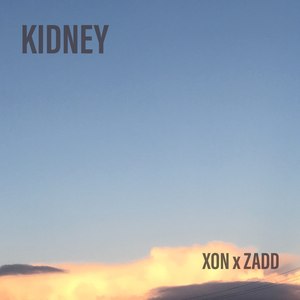 Kidney