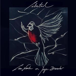 Libertad (feat. Jorge Drexler)