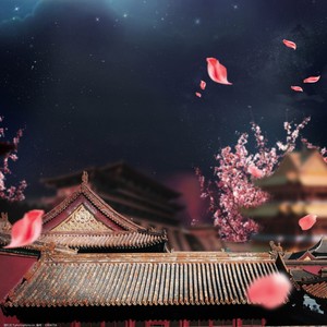 浮浮沉沉一场梦