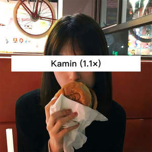Kamin (1.1x)