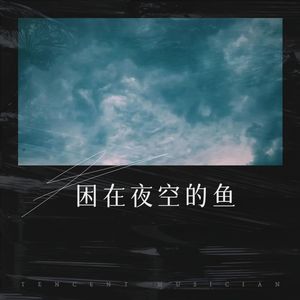 困在夜空的鱼