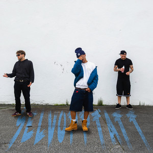 SELVOPPTATT (Explicit)