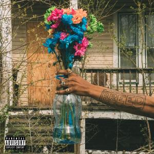 WHATS UP WITH THESE SEEDZ? (feat. TheGr8Thinkaz) (Explicit)