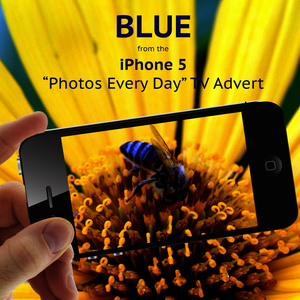 Blue (From the Iphone 5 'Photos Every Day' T.V. Advert)