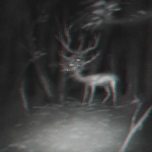 Interlude to Distorted Thoughts