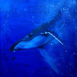 Whale's Song