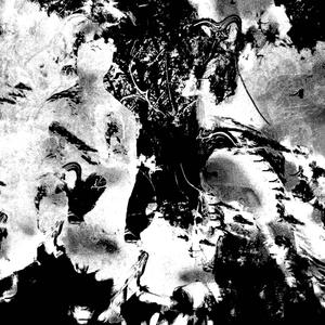 quelques pétales (Explicit)