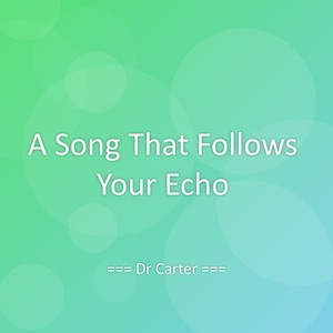A Song That Follows Your Echo