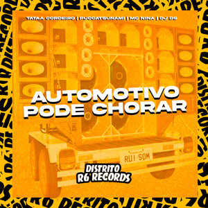 DJ DS - Automotivo Pode Chorar (Explicit)