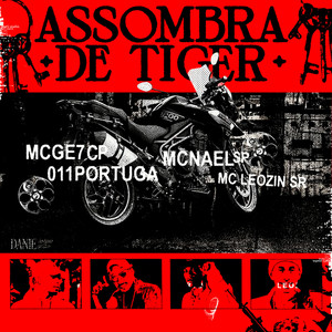 SET ASSOMBRA DE TIGER #01