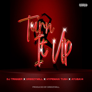 Turn It Up (Explicit)