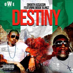 Destiny (Explicit)