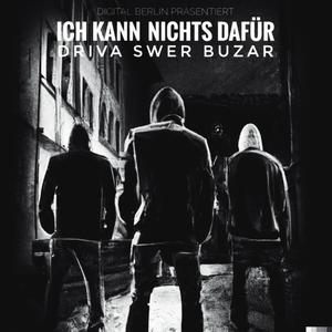 Ich kann nichts dafür (feat. DRIVA, Swer & Buzar)