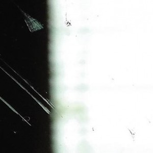 Looking Through Bone