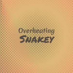 Overheating Snakey