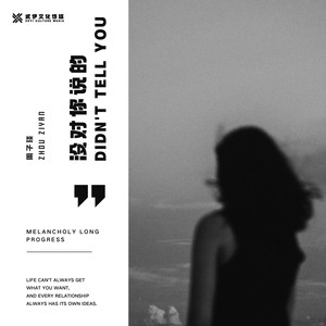 没对你说的封面