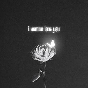 i wanna love you (Explicit)