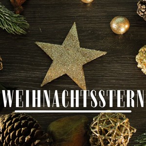 Weihnachtsstern