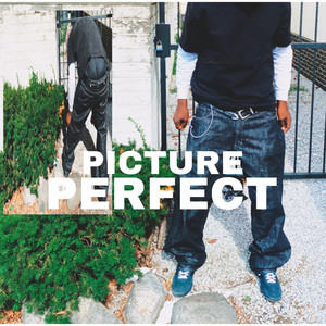 PICTURE PERFECT (Explicit)