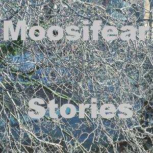 Stories