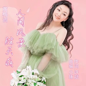 人间风景胜天庭