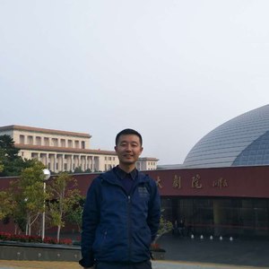 我是一只和平鸽