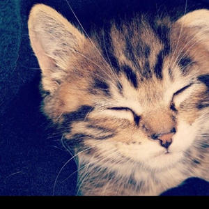 you like it.i love it. (feat. y3tyyy) (Explicit)