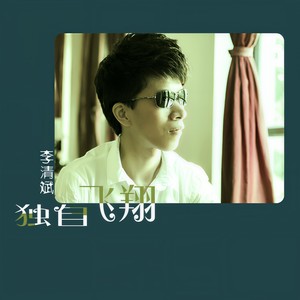 独自飞翔