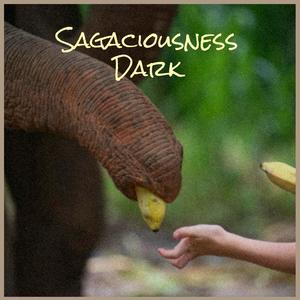 Sagaciousness Dark