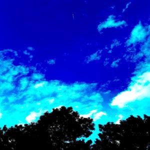 Tranquilizer (No Pulse)