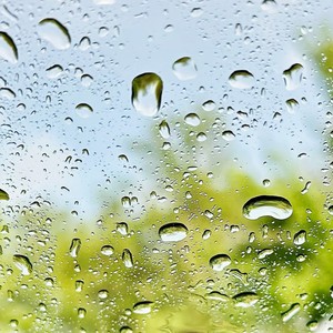 雨の日は寄り道したい feat. 音楽的同位体 羽累