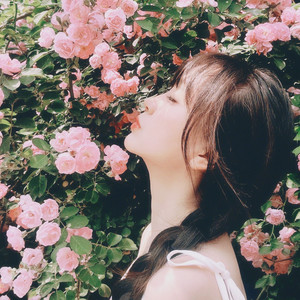 一路歌声一路美