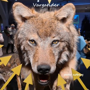 Vargatider