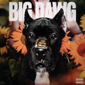 BIG DAWG (Explicit)