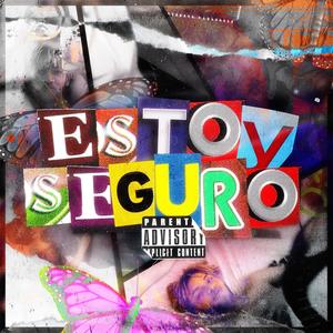 Estoy Seguro