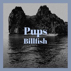 Pups Billfish