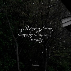 25 Relaxing Storm Songs for Sleep and Serenity