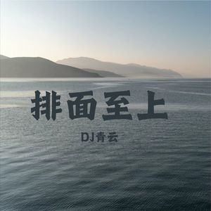 DJ青云 - 排面至上V8