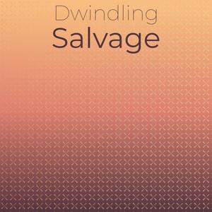Dwindling Salvage