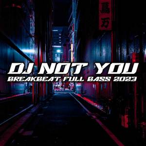 DJ NOT YOU BREAKBEAT