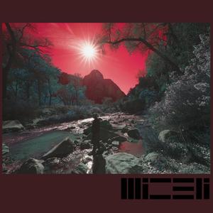 Birds And Stones (feat. Eli Williams, Holden Simoneaux & Will Simmons)