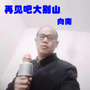 再见吧大别山