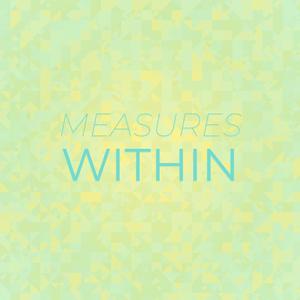 Measures Within