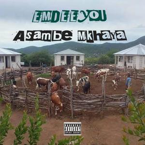 Asihambe Mkhaya (Explicit)