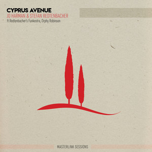 Cyprus Avenue (Masterlink Sessions) (Radio Edit)