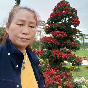 活力中国