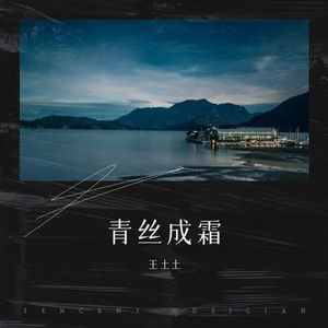 青丝成霜封面