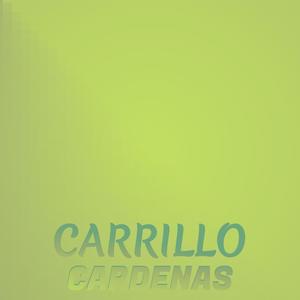 Carrillo Cardenas