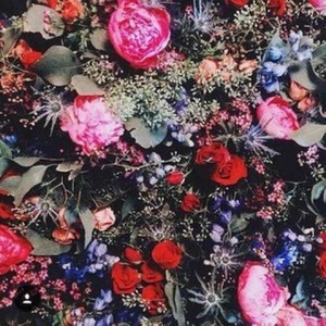 佳人有约-台湾青年内地摇滚